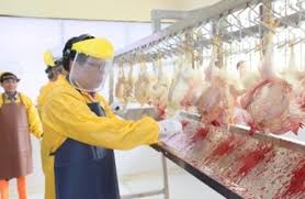 Procedure for Establishing a Legal Slaughterhouse